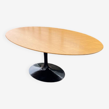 Table Knoll 198