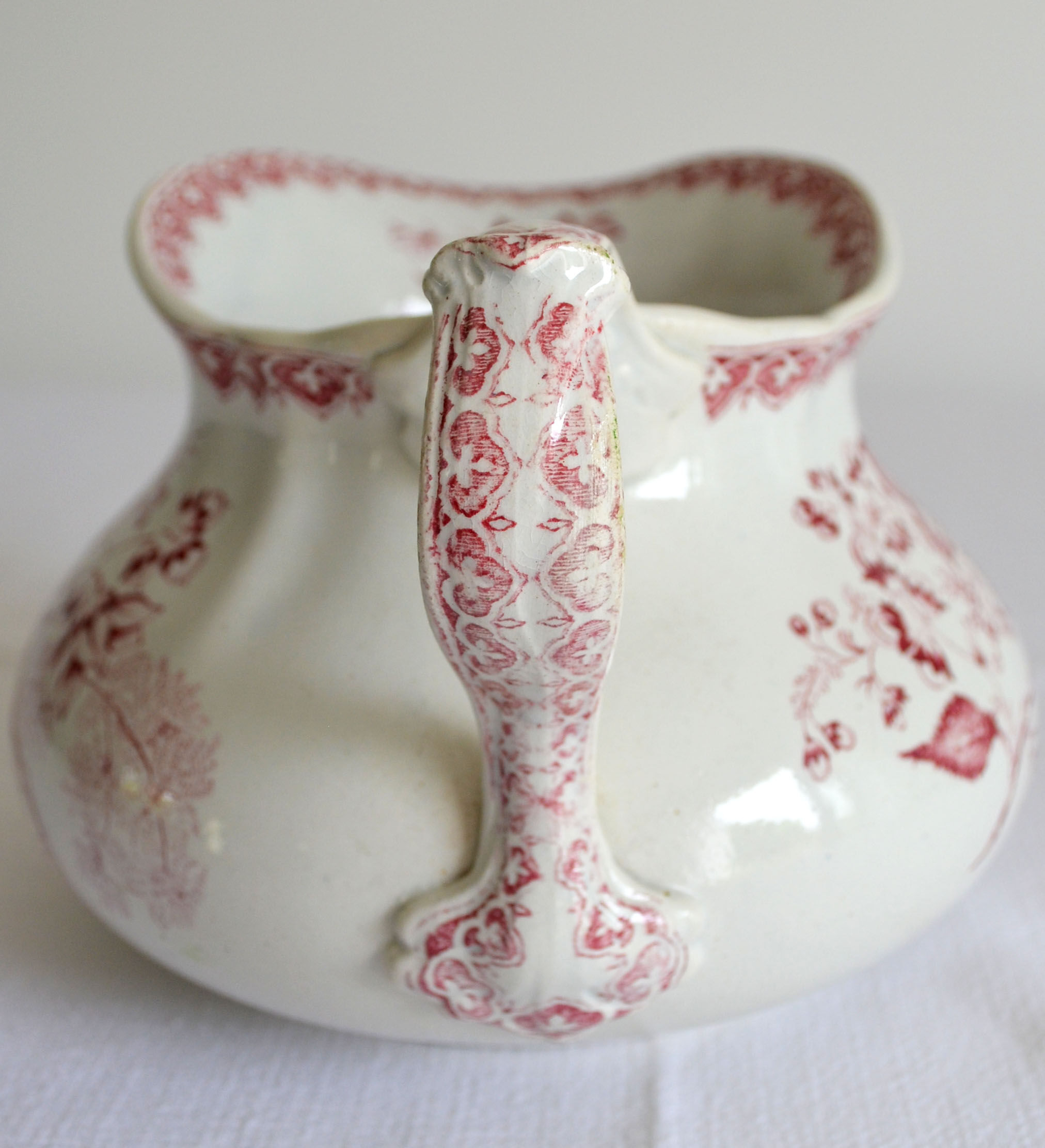 Bushy earth pitcher