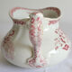 Bushy earth pitcher