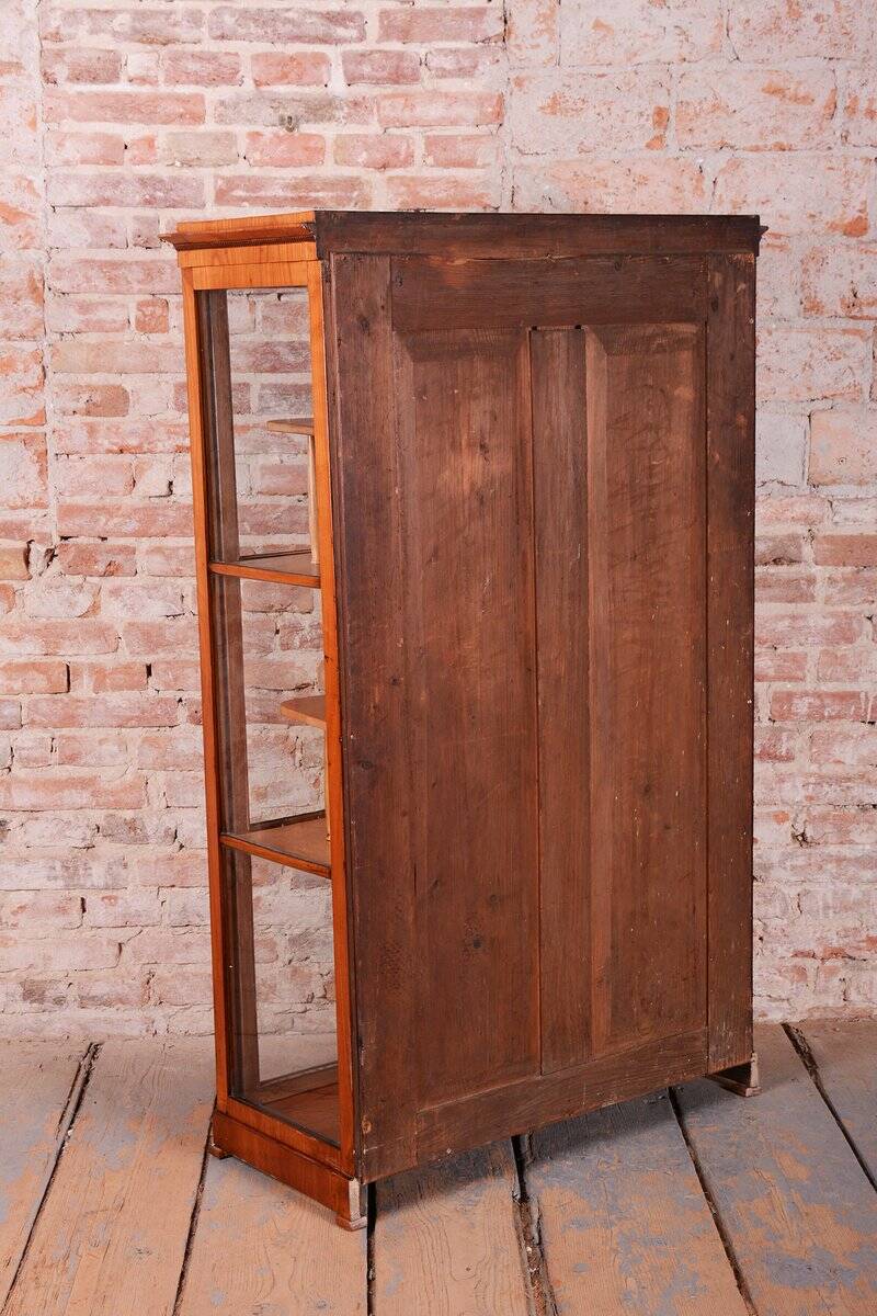Antique Biedermeier Display Cabinet in Spruce, 1830s