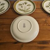 8 plates "gien france" herbariums flower motif