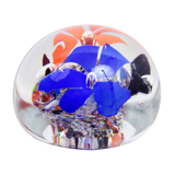 Glass parchment paperboard