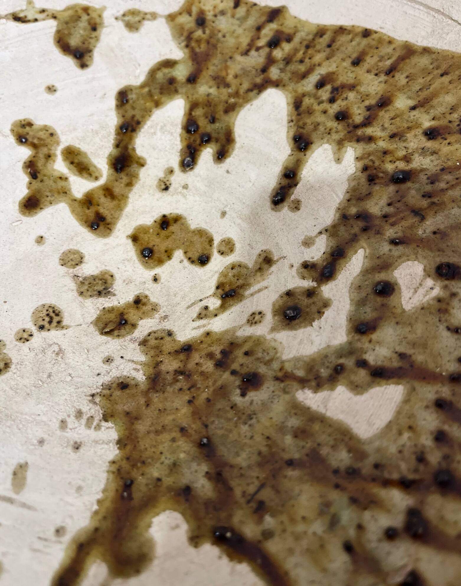 Speckled Tamegroute Salad Bowl