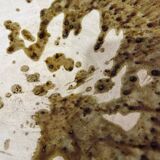 Speckled Tamegroute Salad Bowl