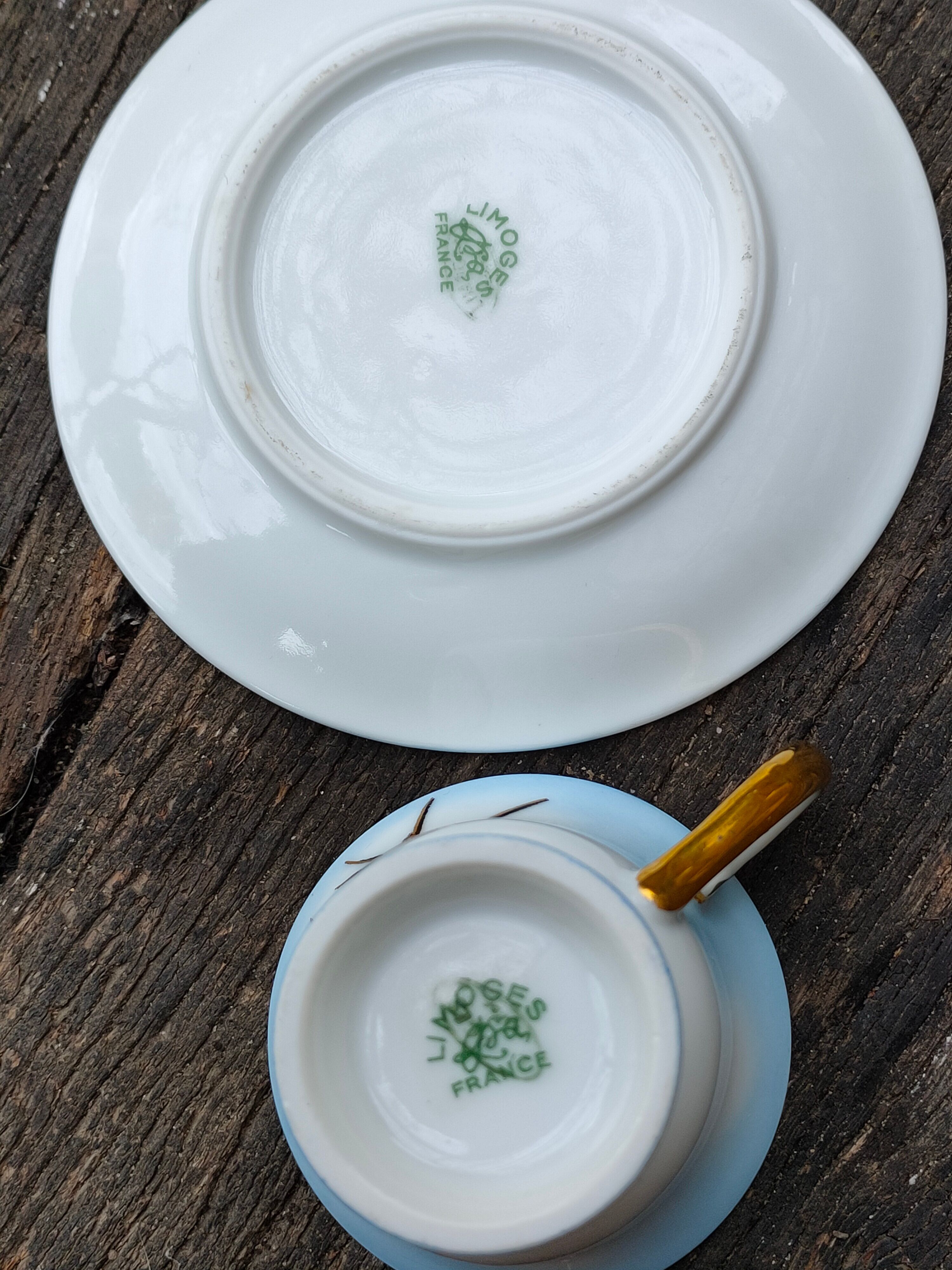 Tasse et sa soucoupe en porcelaine de Limoges motif "hirondelles"