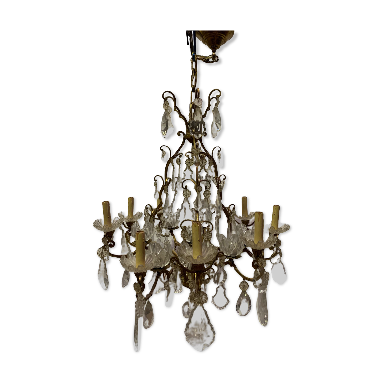 Chandelier cage with sixteen lights grapevines and crystal cups xix century