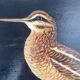 Peinture sur bois oiseaux