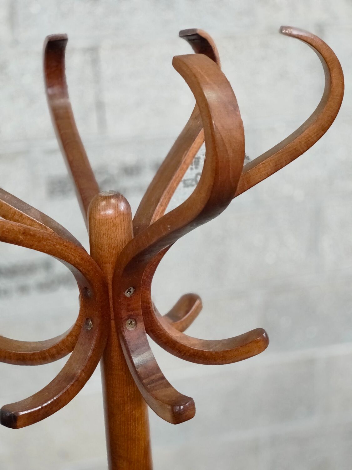 Baumann beech coat rack