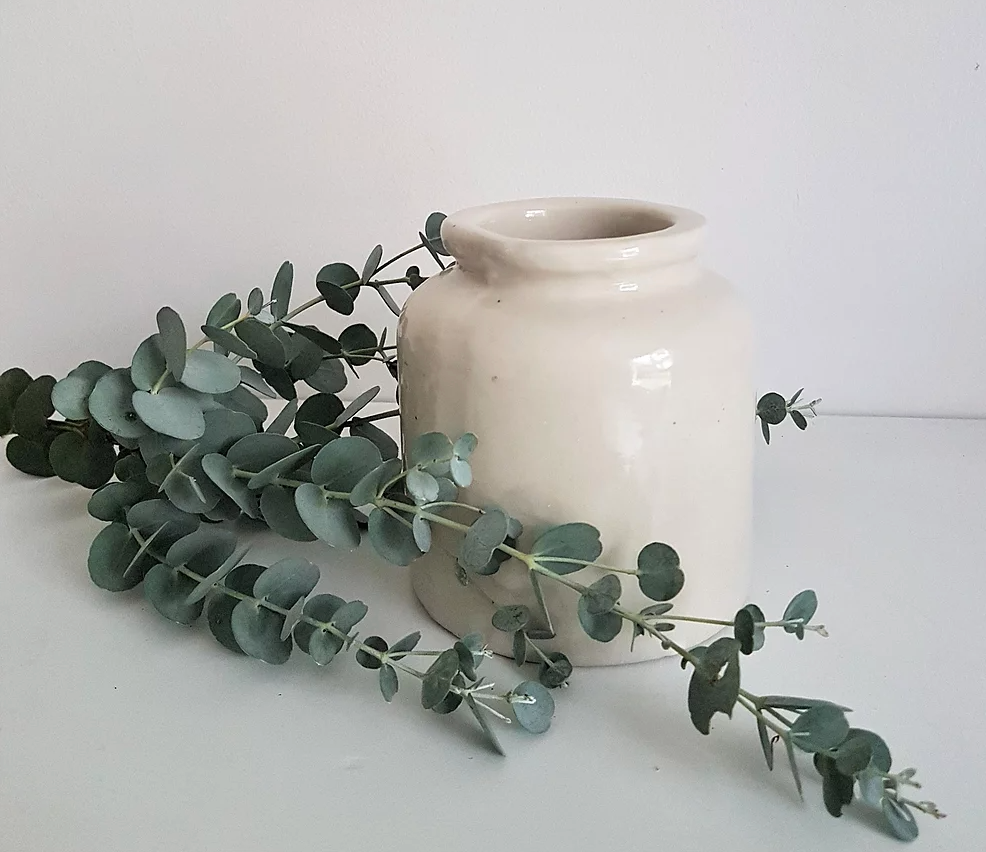 Old white mustard pot