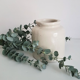 Old white mustard pot