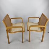 Paire de chaises olivo pietro