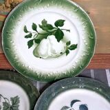 Antique earthenware plates with fruit decoration.