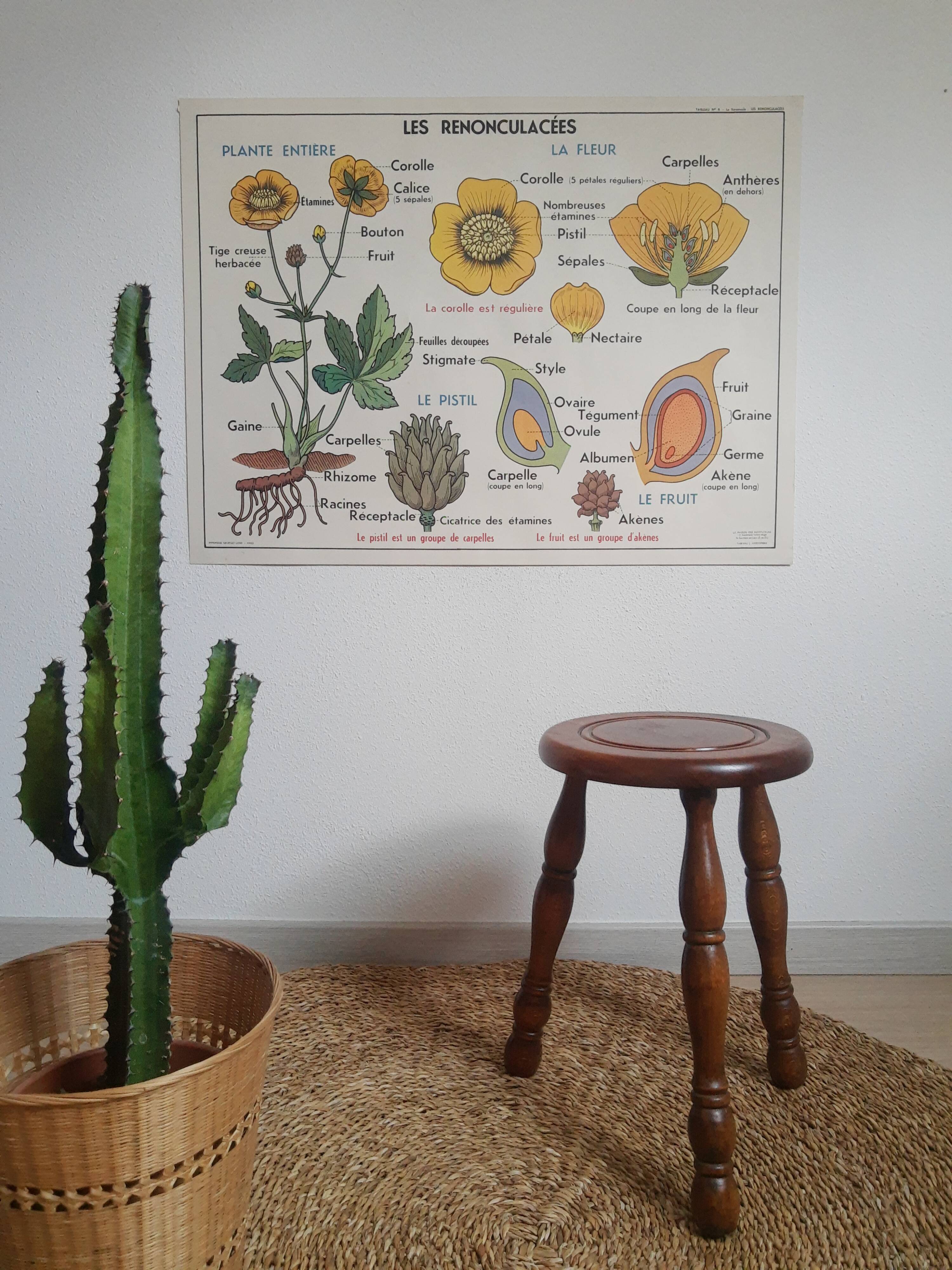Vintage turned wood tripod country stool