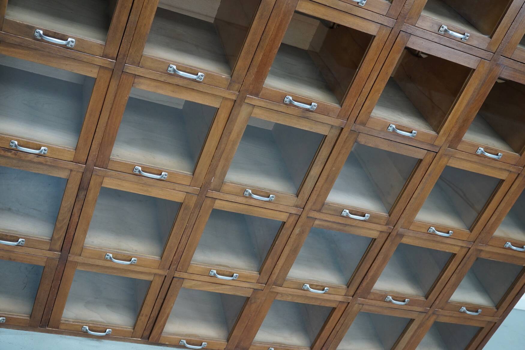 Vintage Large German Beech Haberdashery Shop Cabinet / Vitrine, 1950s