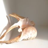 Vintage shell