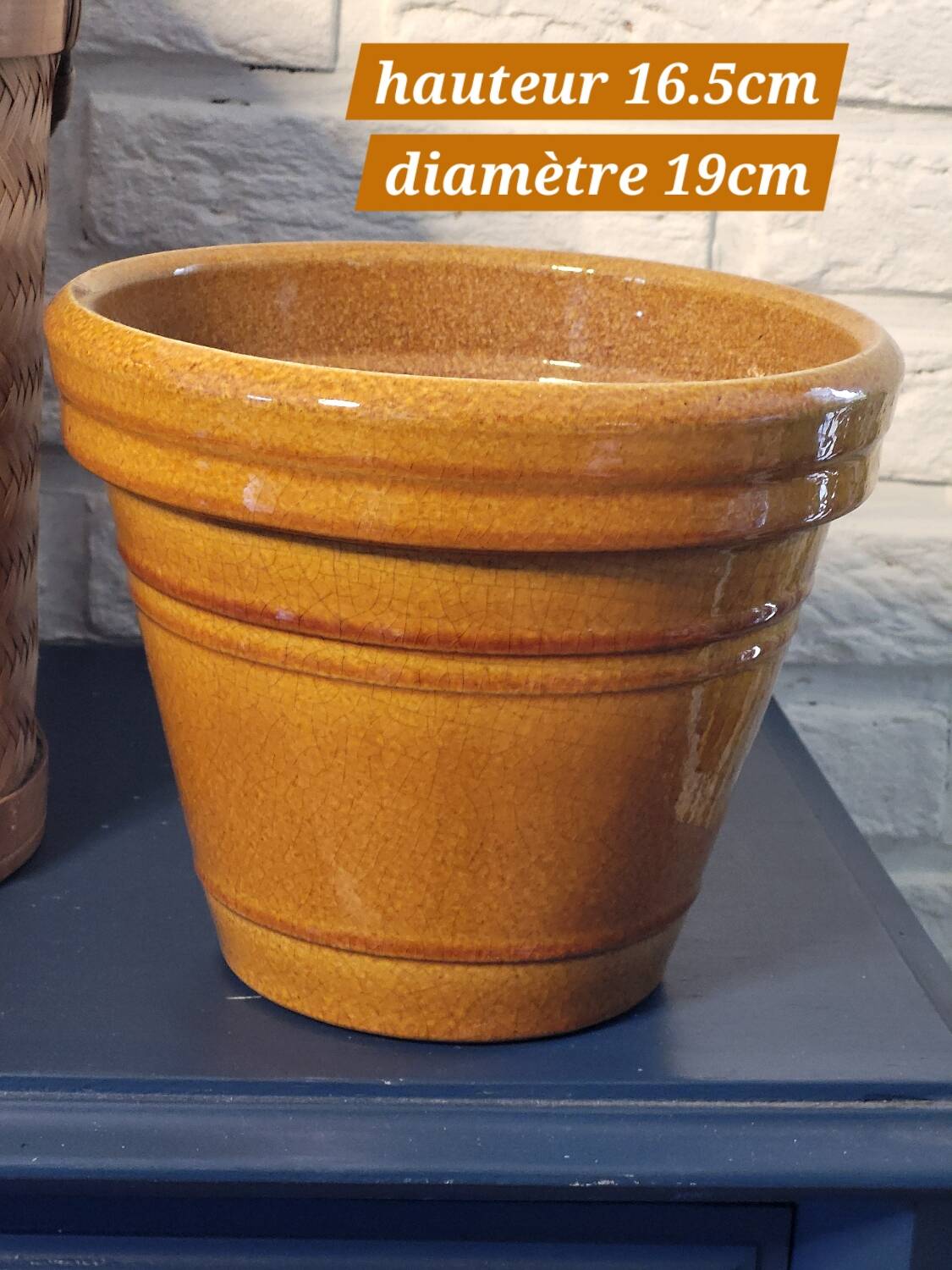 Mustard planter