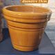 Mustard planter