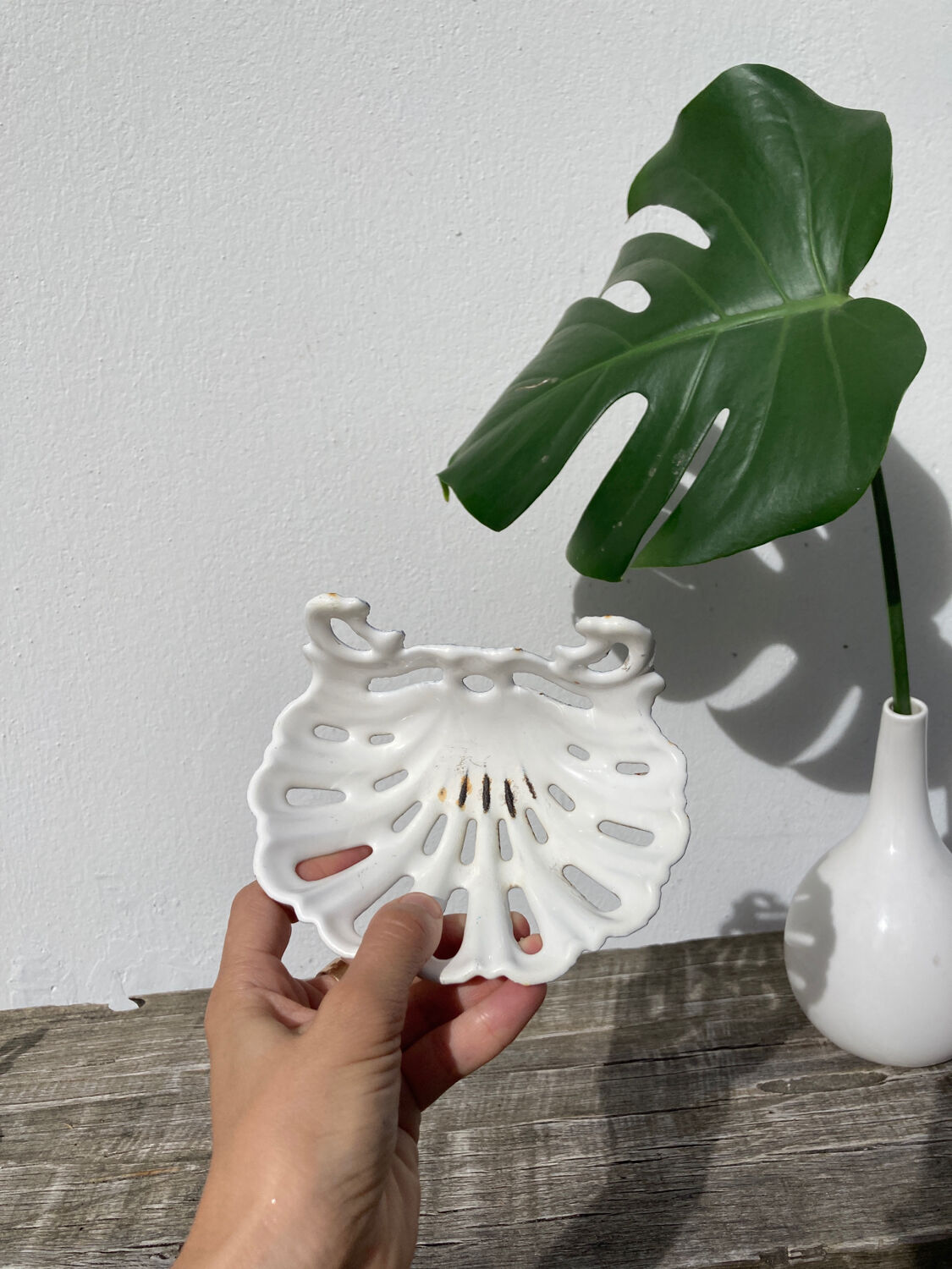 Old shell soap dish in white enamelled cast iron
