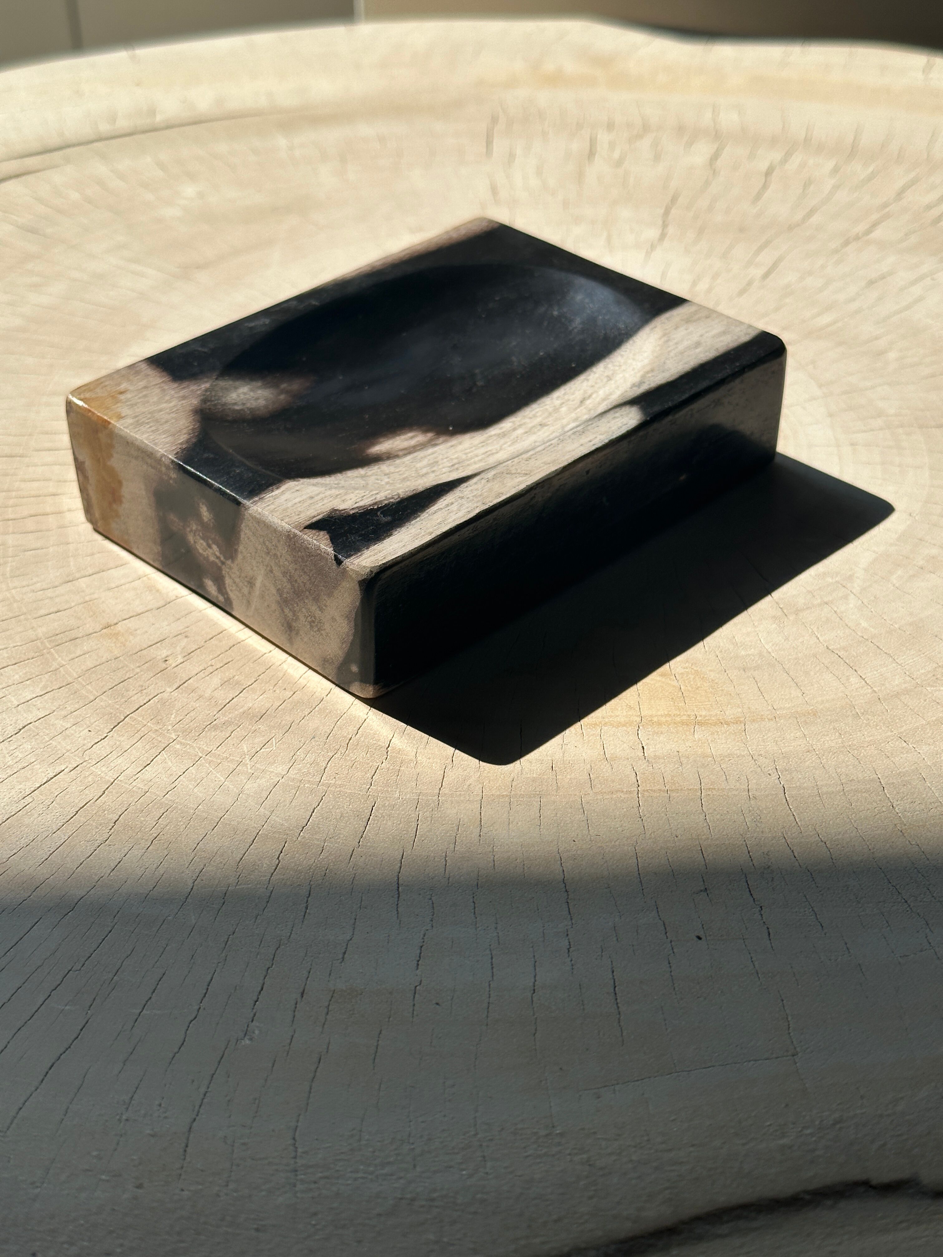 Symmetrical multicolored petrified wood soap dish