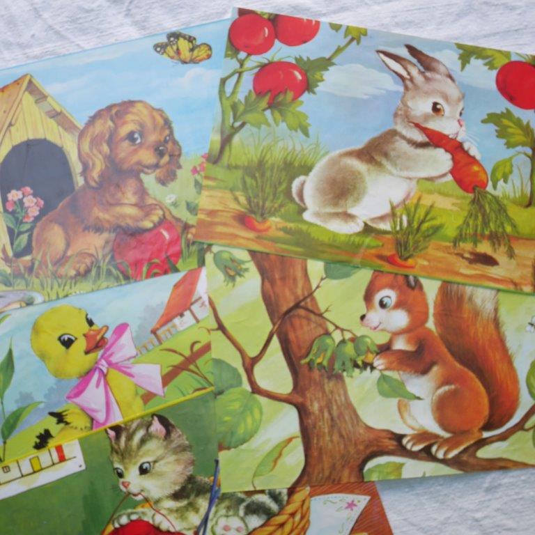 Garnier animal cubes (24 pieces)