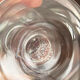 Cut crystal soliflore signed by Cristallerie Royale de Champagne.