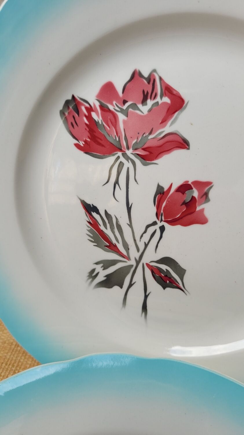 Digoin ceramic plates