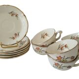 Saverne Céranord Saint Amand Semi Vitrified Tea Service 12 Pieces 1960s