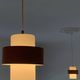 Pair of vintage 1960 Louis Kalff "Ivy" Philips pendant lights - 22 cm