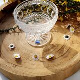 Coupe ancienne en cristal Bourdon sur pied