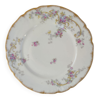 Limoges porcelain plate