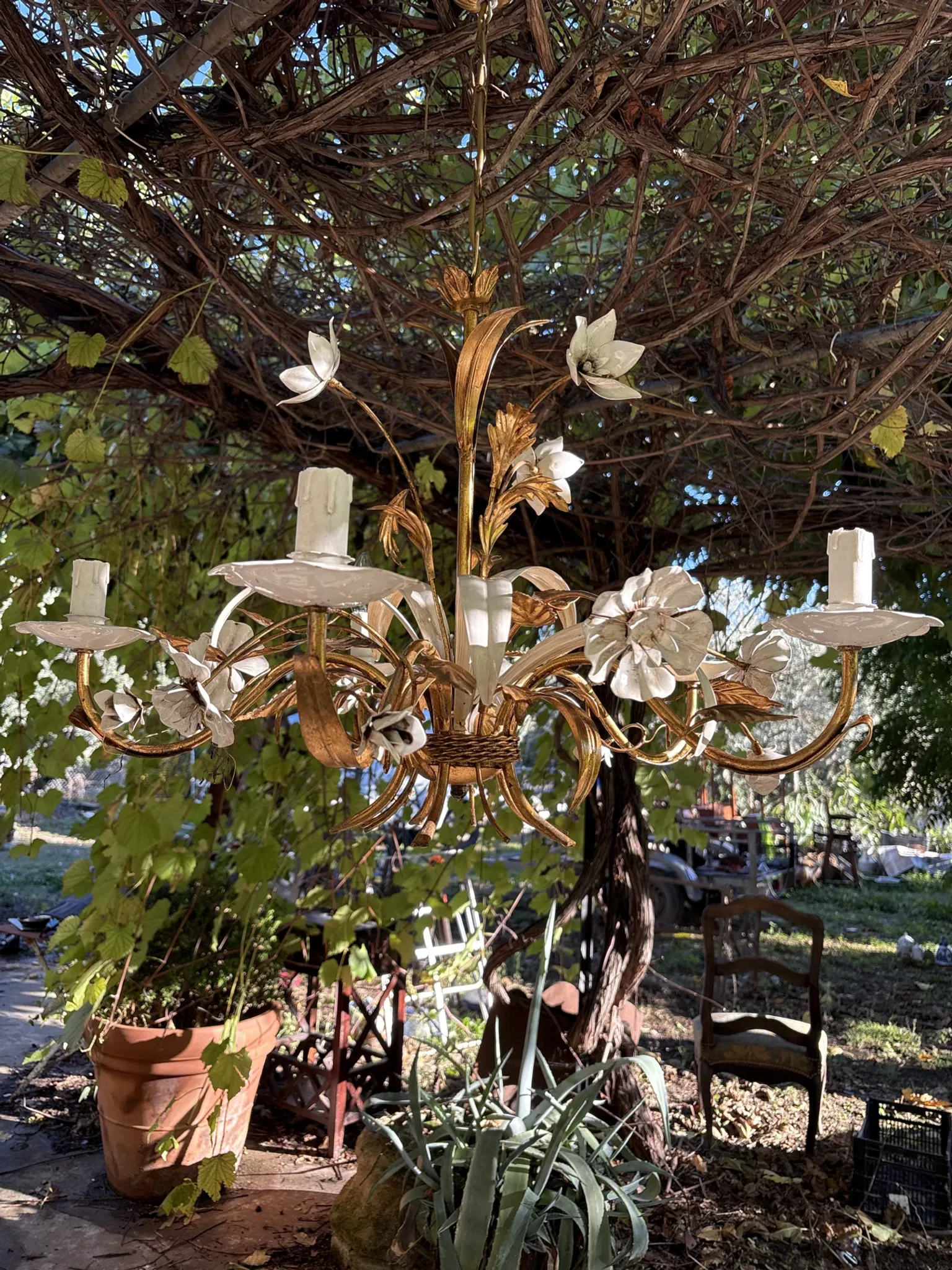Golden metal lustre