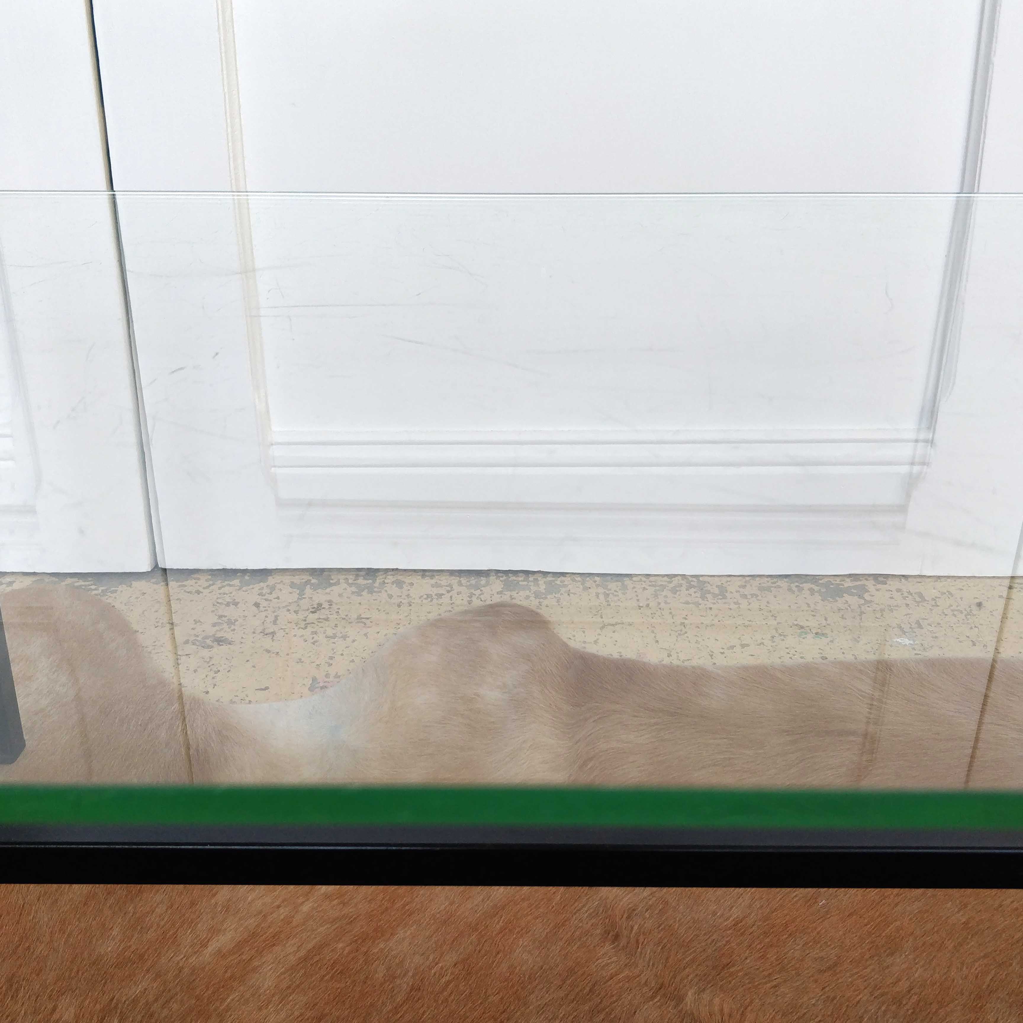 Modernist coffee table