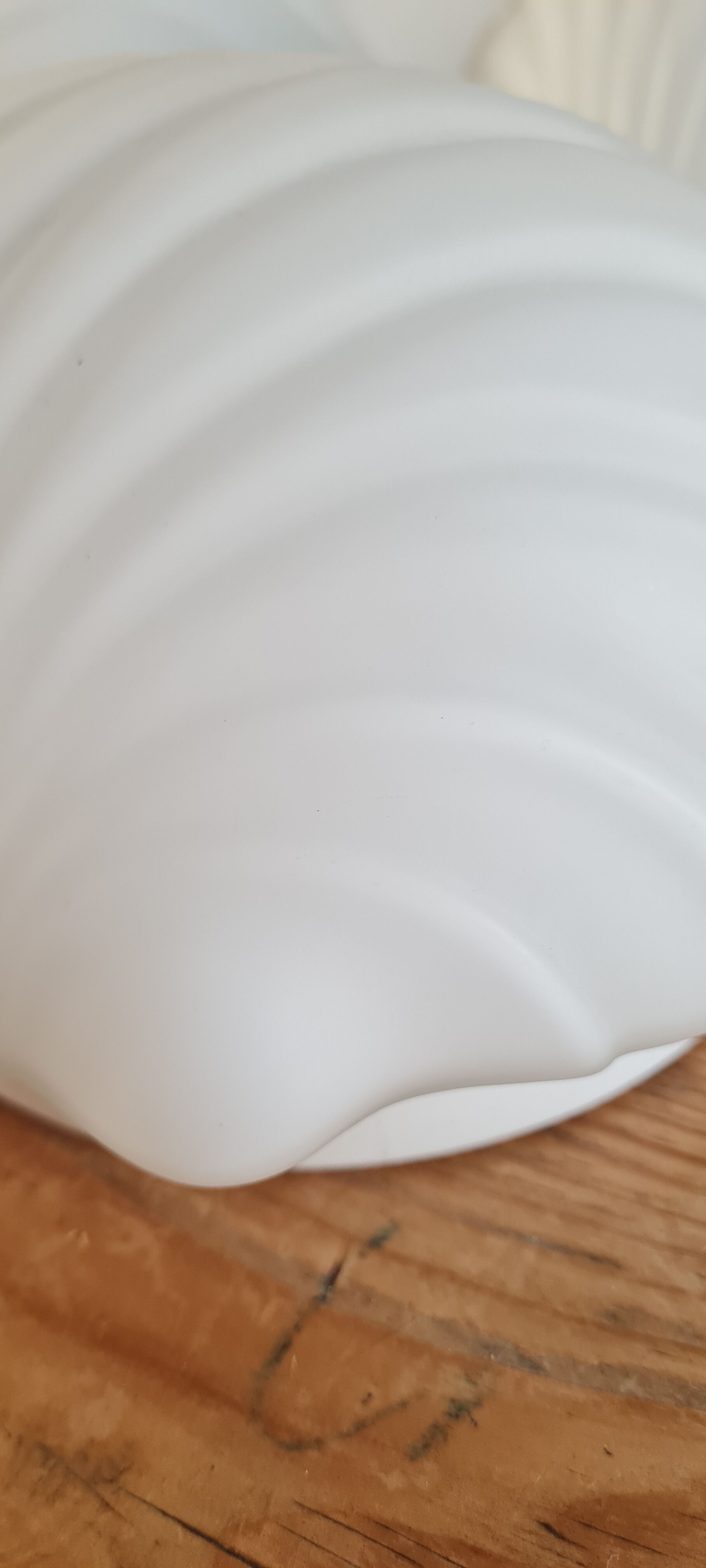 White opaline shell wall lamp