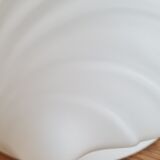 White opaline shell wall lamp