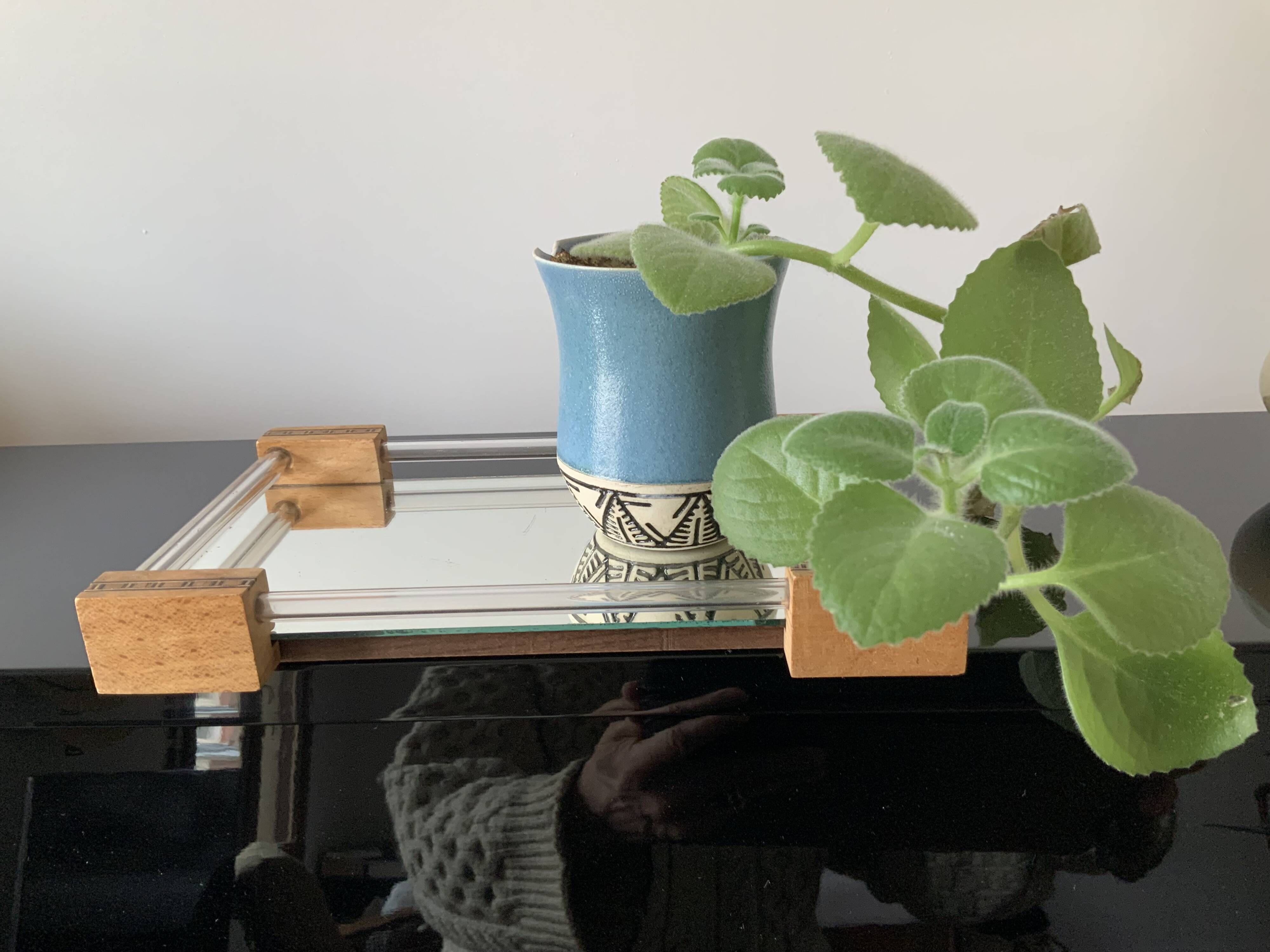 Small tray with mirror