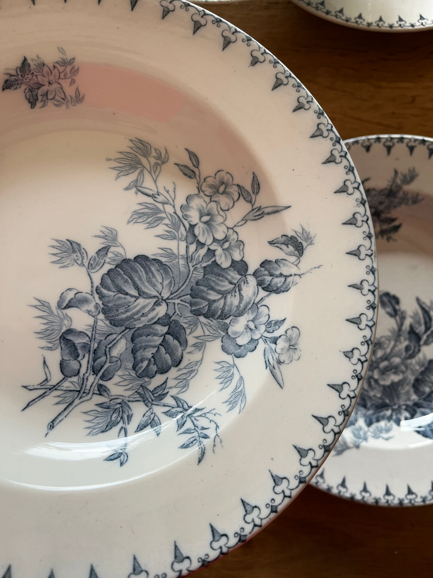 6 assiettes terre de fer 