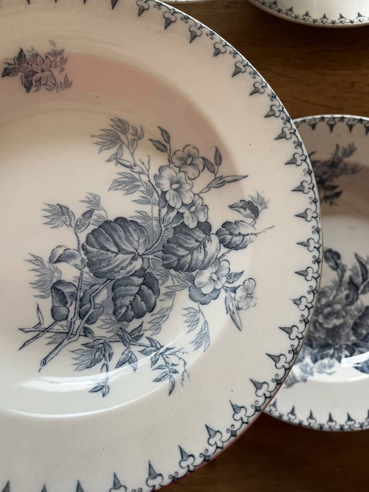 6 assiettes terre de fer 