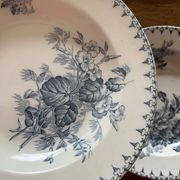 6 assiettes terre de fer 