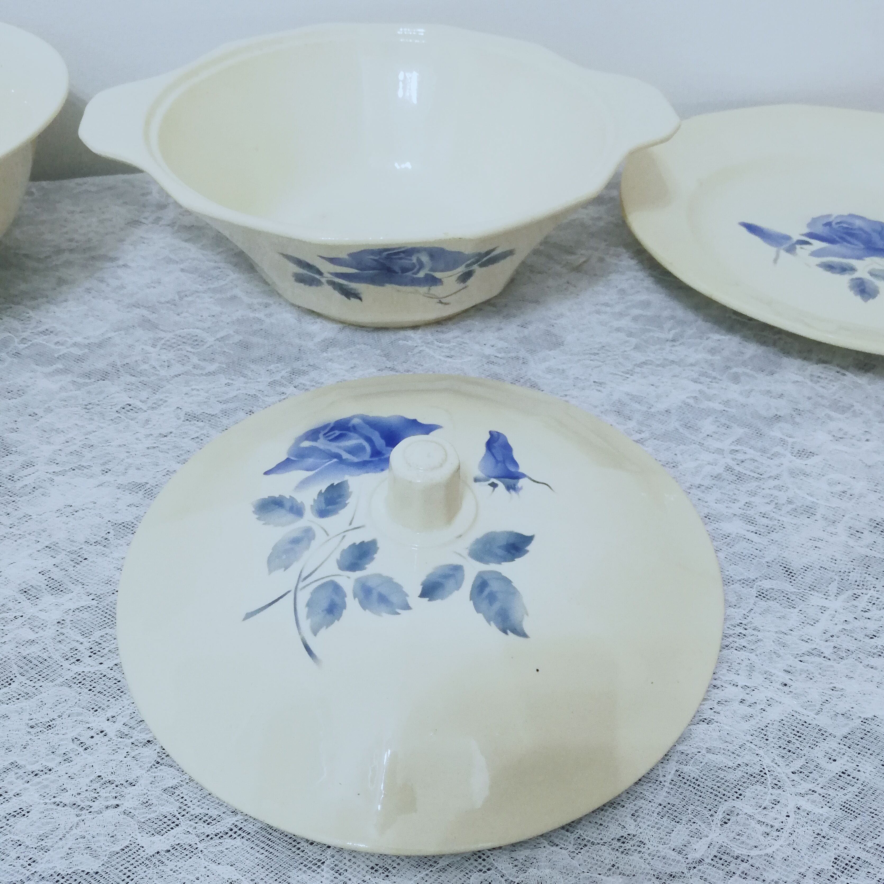 Service 24 pieces in iron earth Digoin Sarreguemines