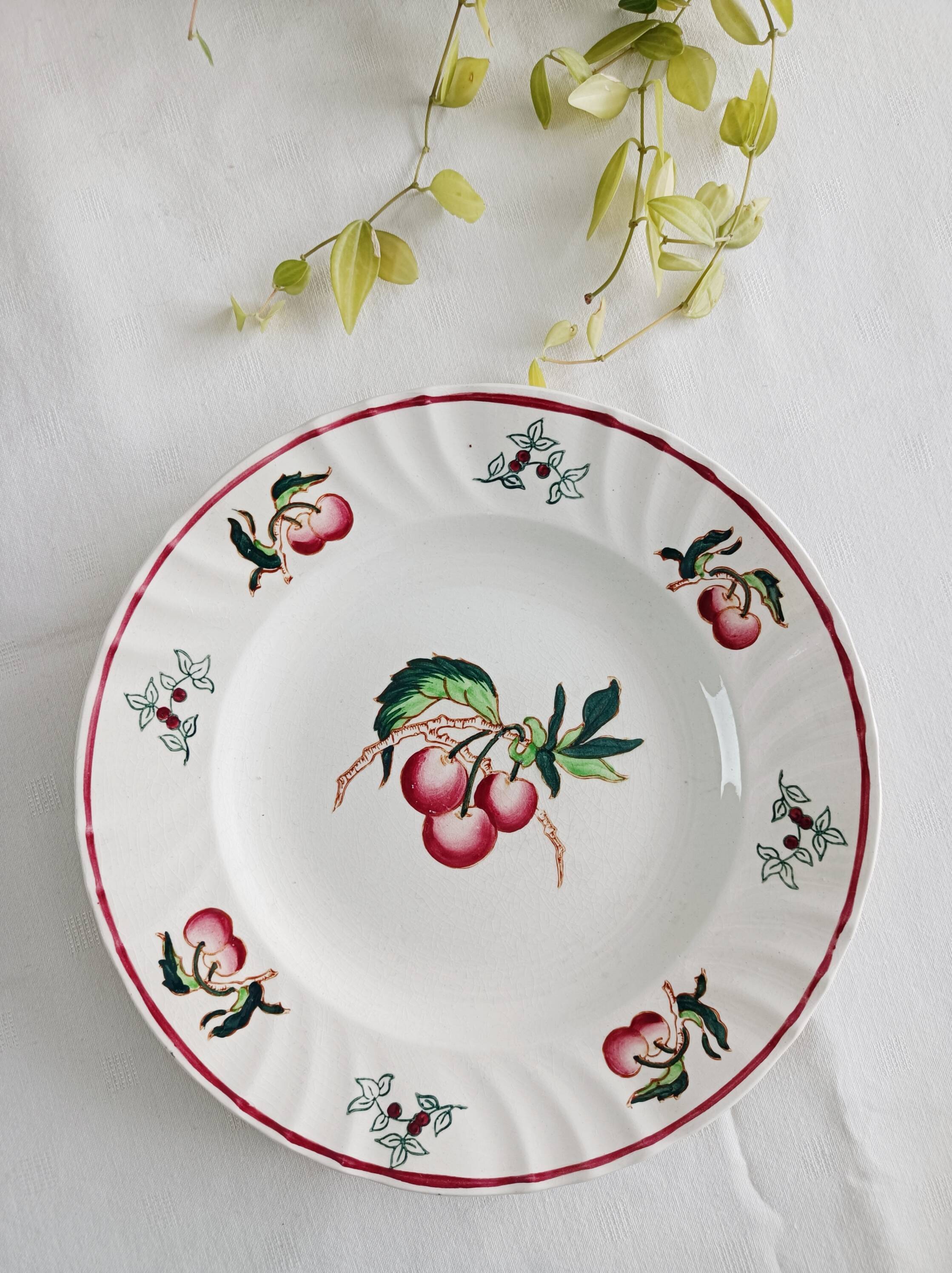 Set of 2 Longwy Montmorency flat plates