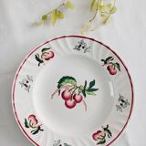 Set of 2 Longwy Montmorency flat plates