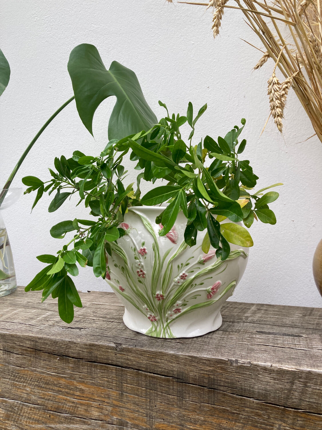 White ceramic pot cache of flower slip and old green foliage