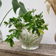 White ceramic pot cache of flower slip and old green foliage