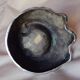 Mid century elephant foot ashtray