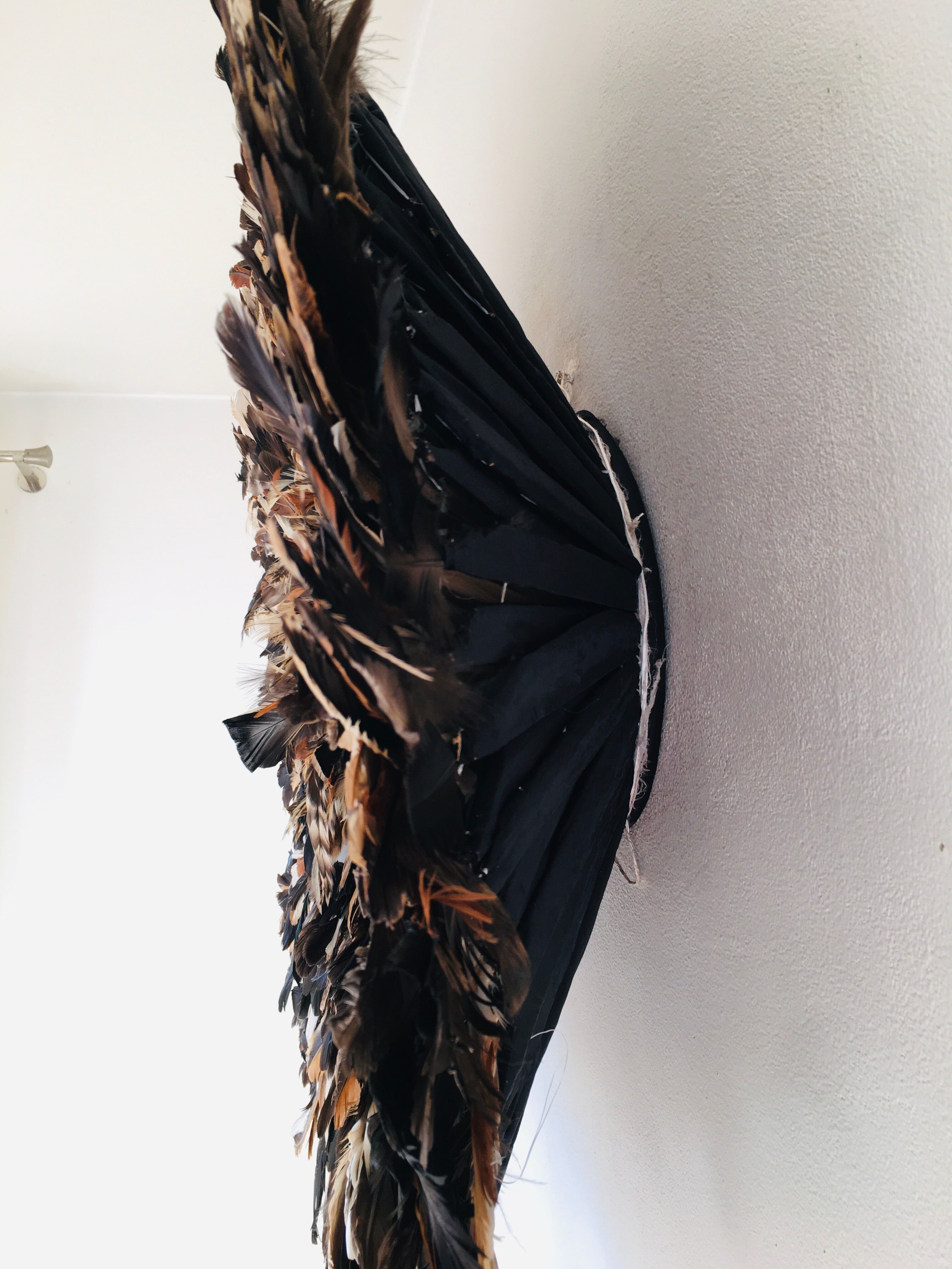 Speckled black jujuhat 80 cm