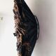 Speckled black jujuhat 80 cm