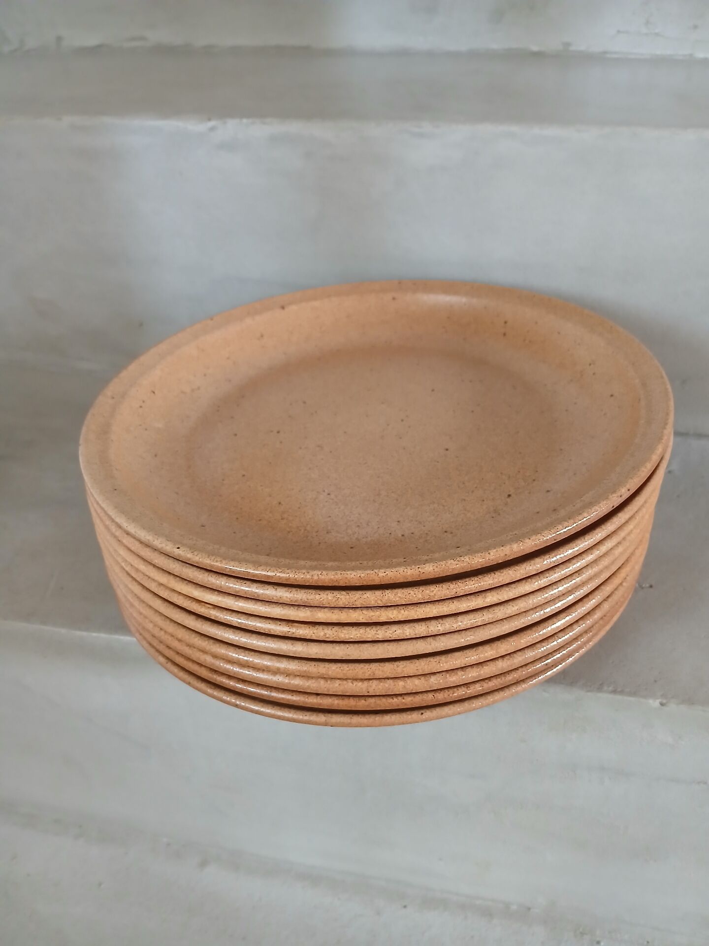 9 flat plates in Sarreguemines stoneware