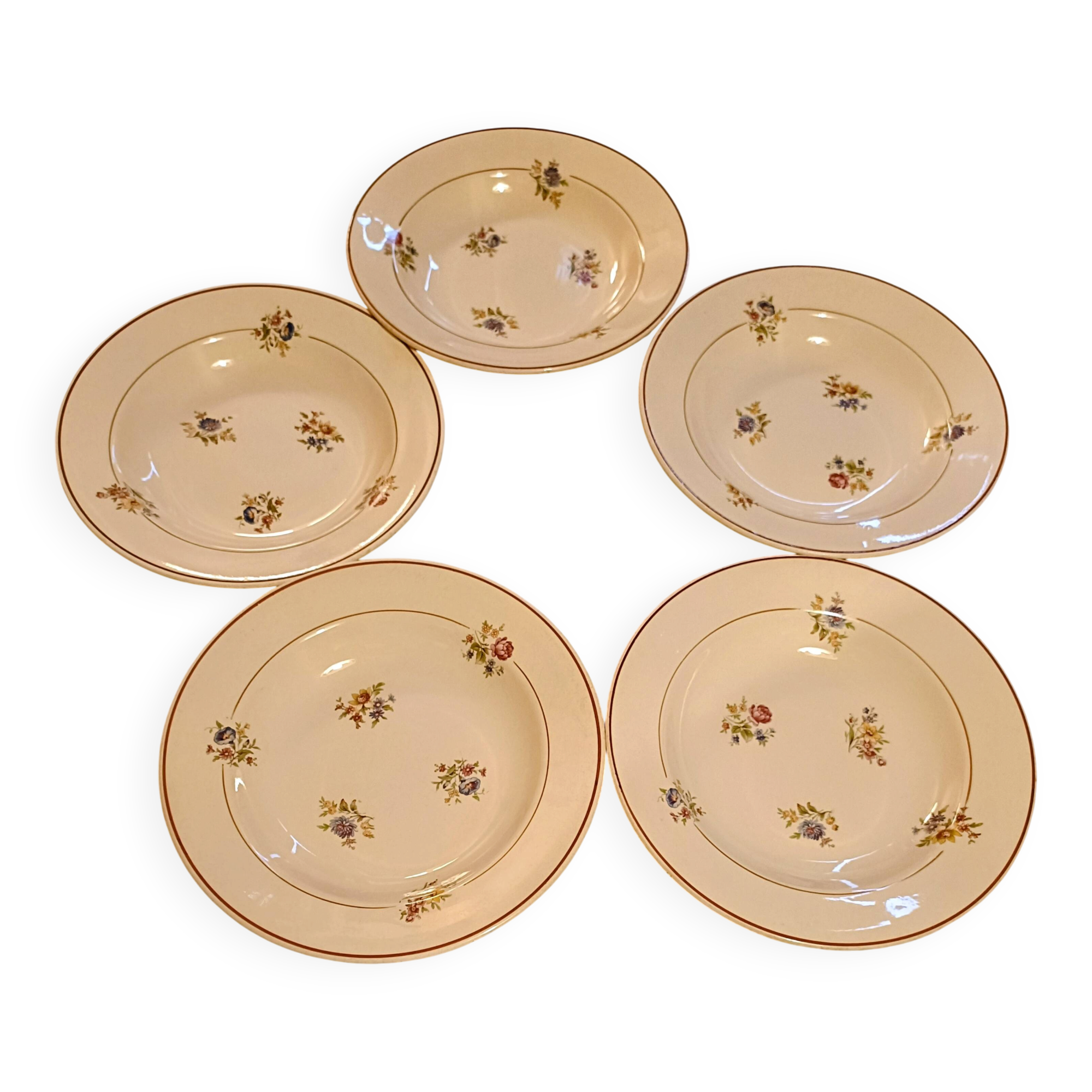 5 deep plates Salins