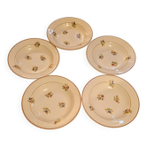 5 deep plates Salins