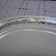 Pastel Oval Dish / HBCM